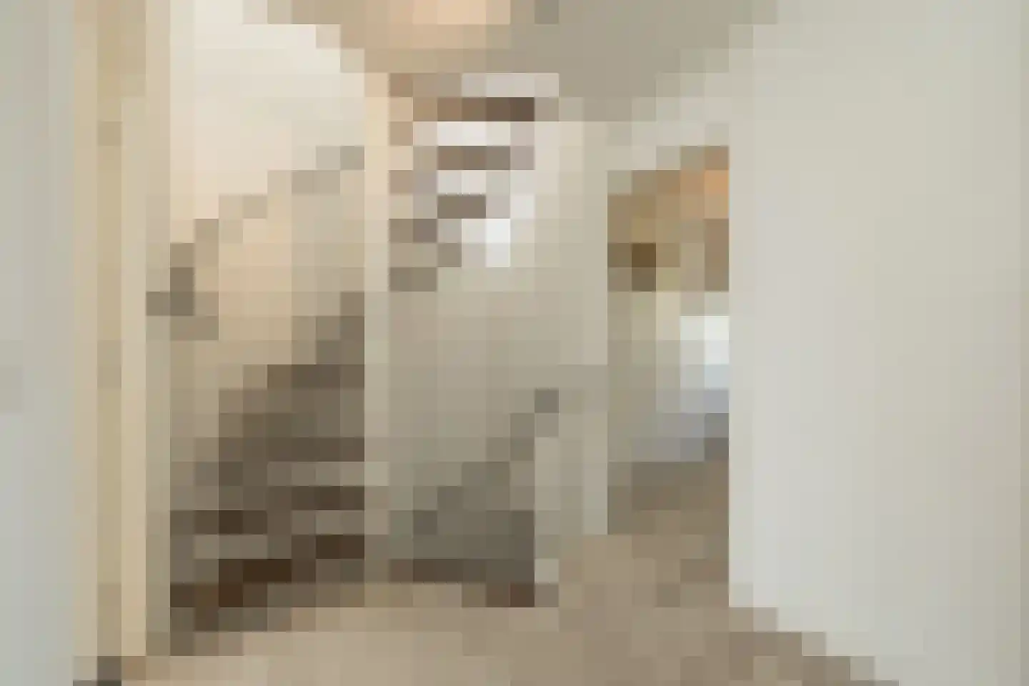 Homeruslaan 17 Oegstgeest thumbnail 27