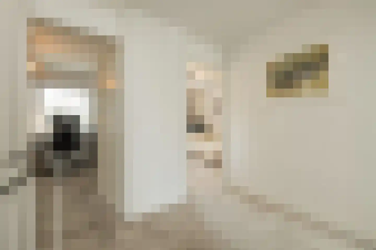 Homeruslaan 17 Oegstgeest thumbnail 28