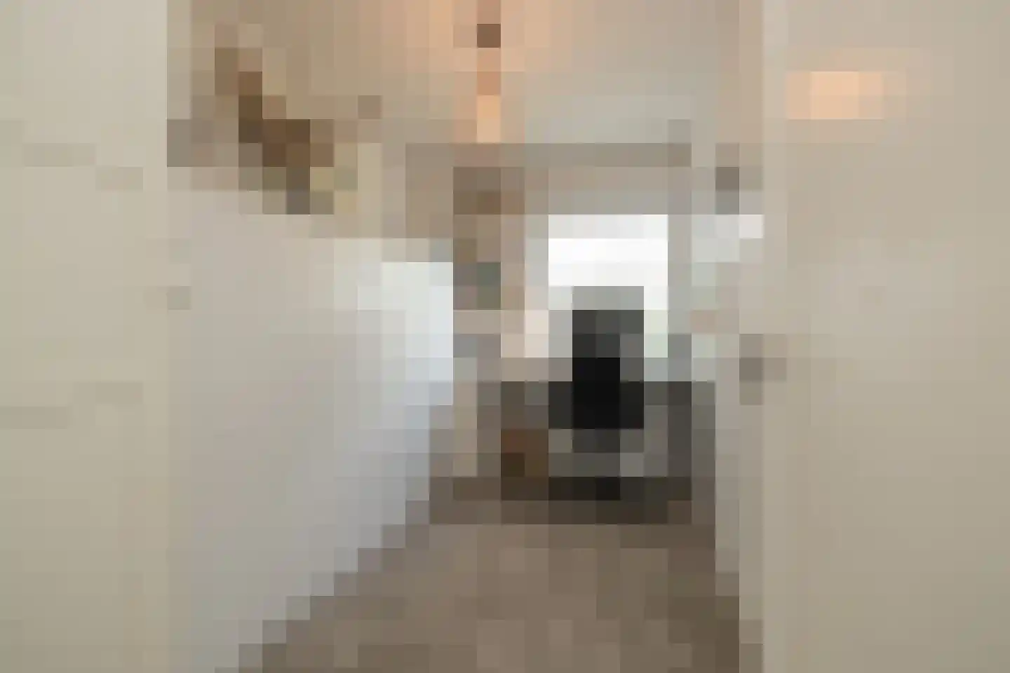 Homeruslaan 17 Oegstgeest thumbnail 29