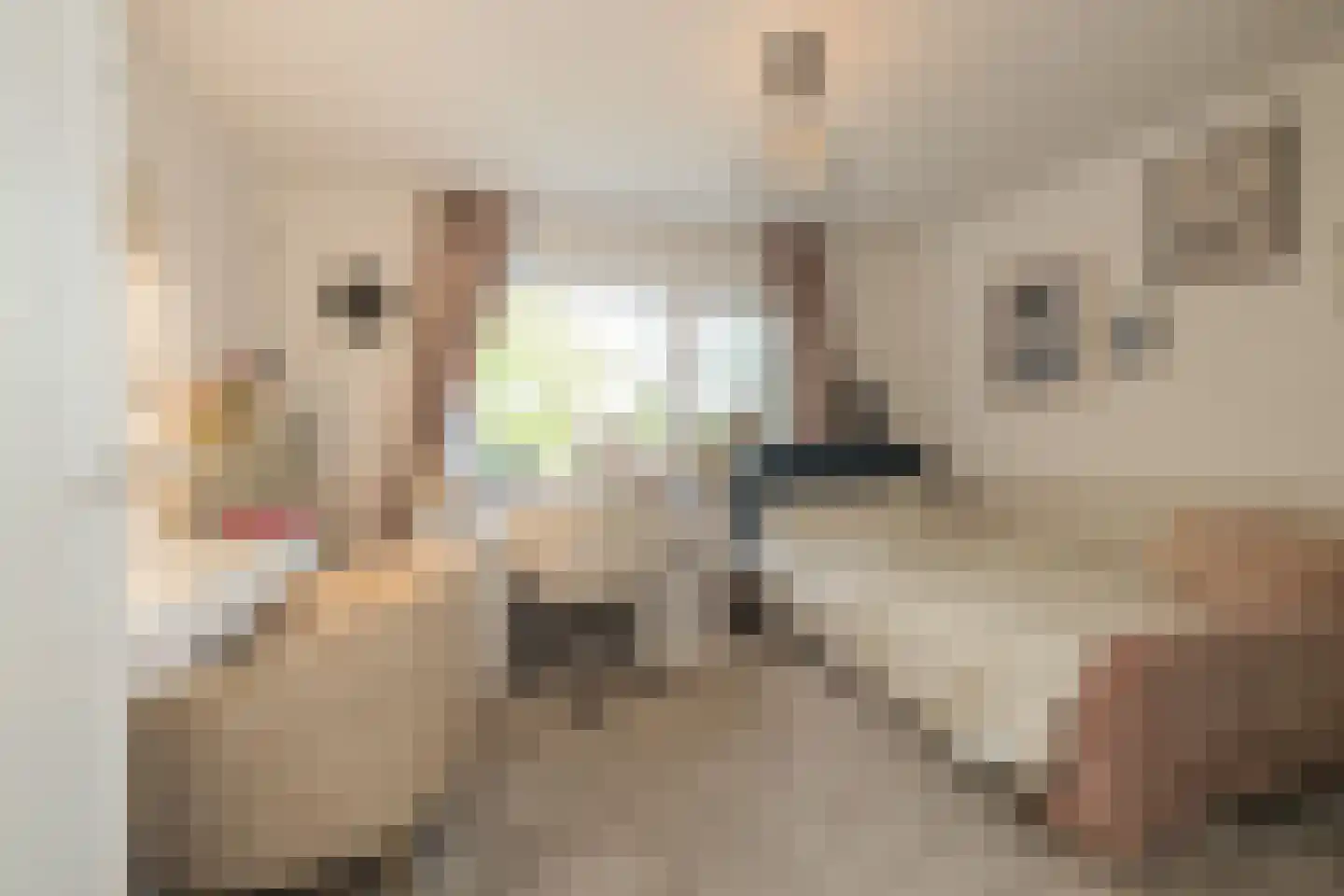 Homeruslaan 17 Oegstgeest thumbnail 30