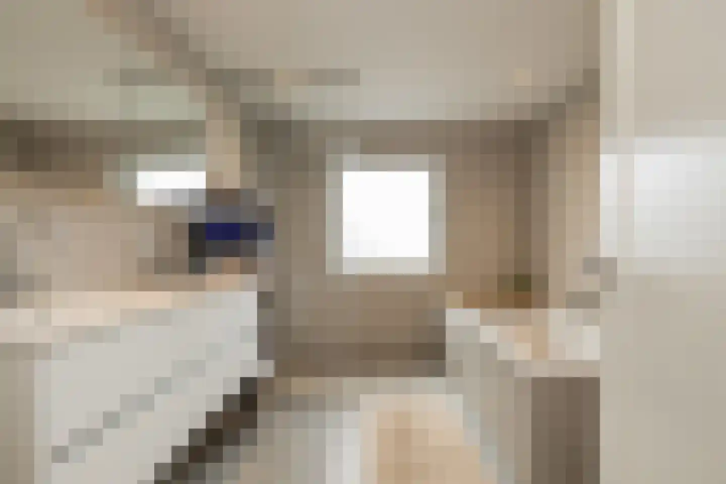 Homeruslaan 17 Oegstgeest thumbnail 35