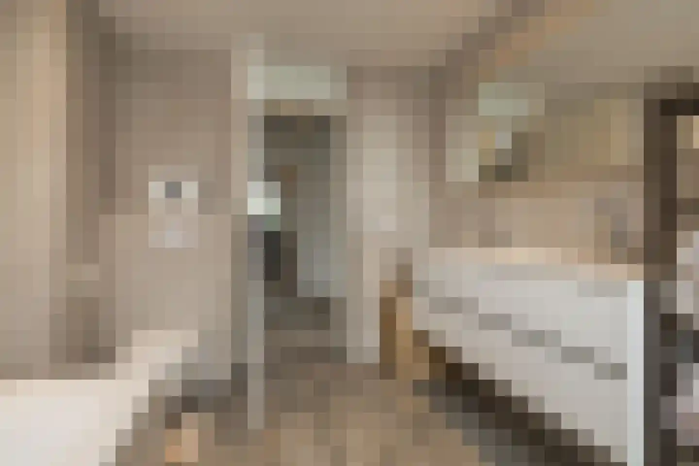 Homeruslaan 17 Oegstgeest thumbnail 37
