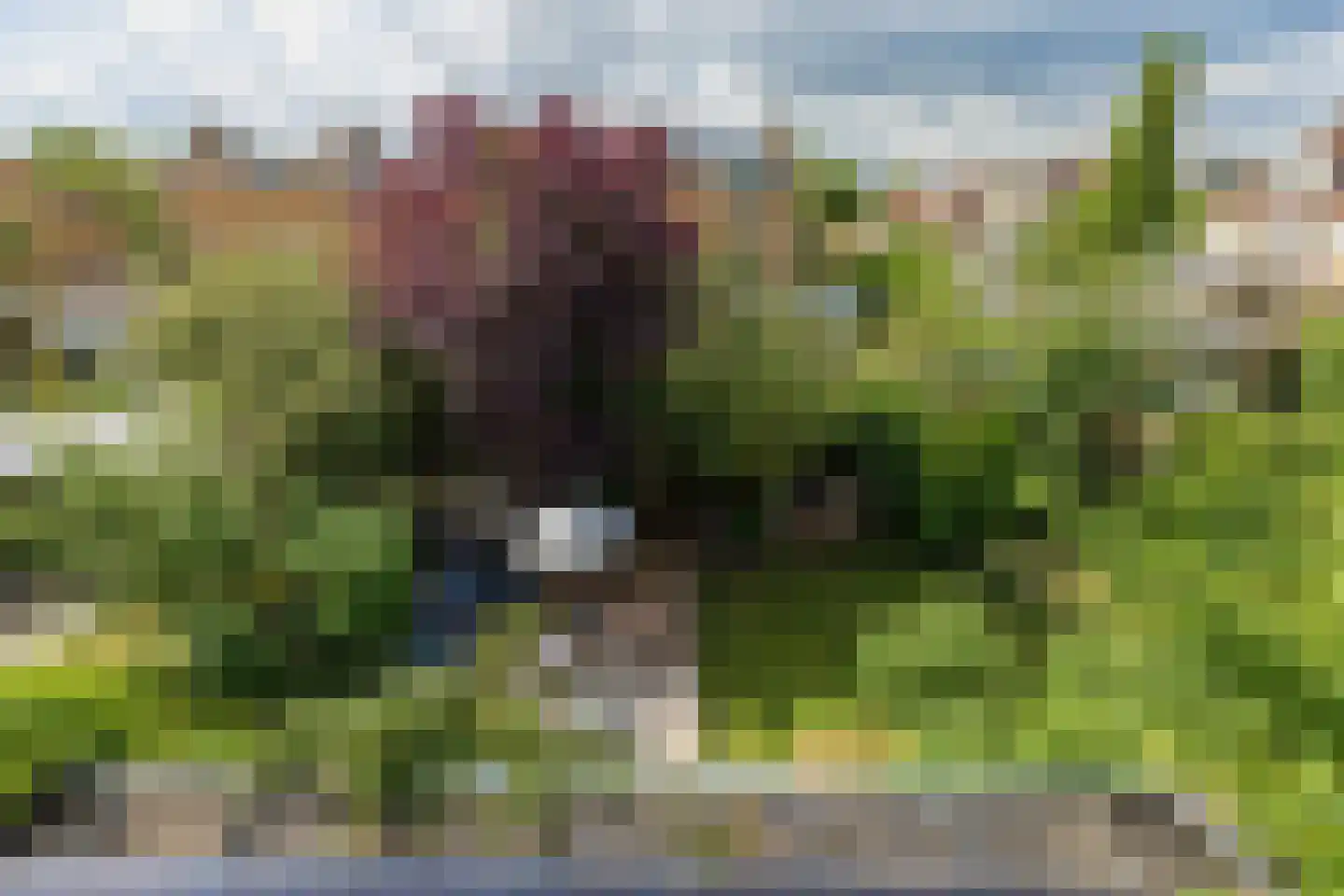 Homeruslaan 17 Oegstgeest thumbnail 44