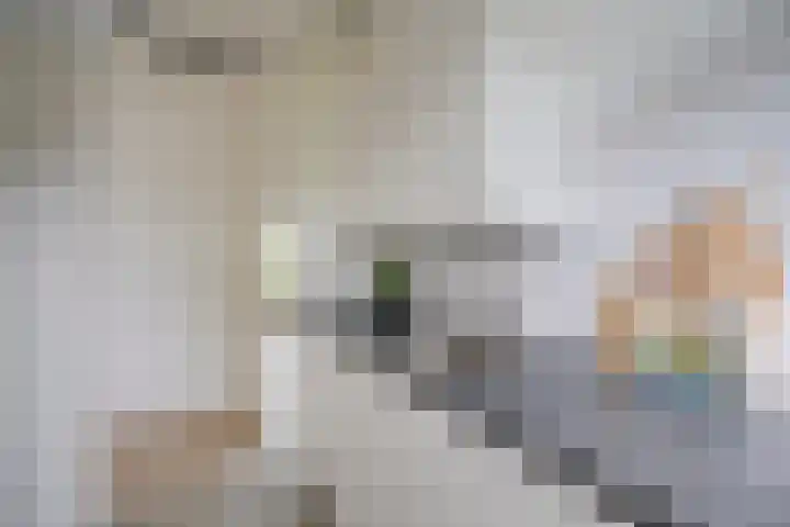 Homeruslaan 18 2 Utrecht thumbnail 13