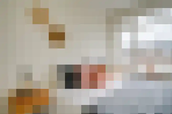 Homeruslaan 18 2 Utrecht thumbnail 15