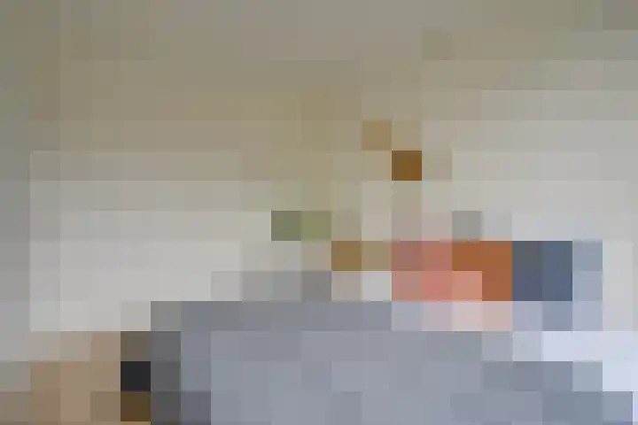 Homeruslaan 18 2 Utrecht thumbnail 17