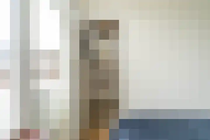 Homeruslaan 18 2 Utrecht thumbnail 22