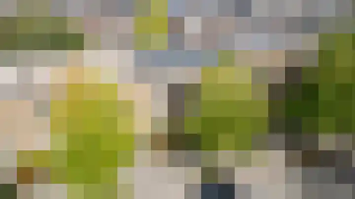 Homeruslaan 18 2 Utrecht thumbnail 25