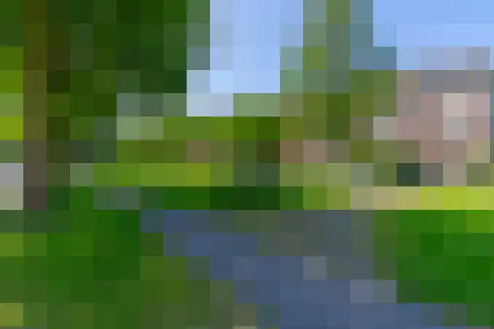 Homeruslaan 18 2 Utrecht thumbnail 31
