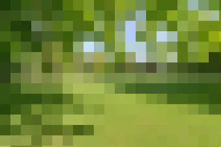 Homeruslaan 18 2 Utrecht thumbnail 32
