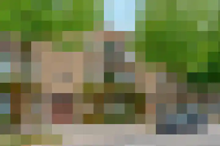 Homeruslaan 18 2 Utrecht thumbnail 35