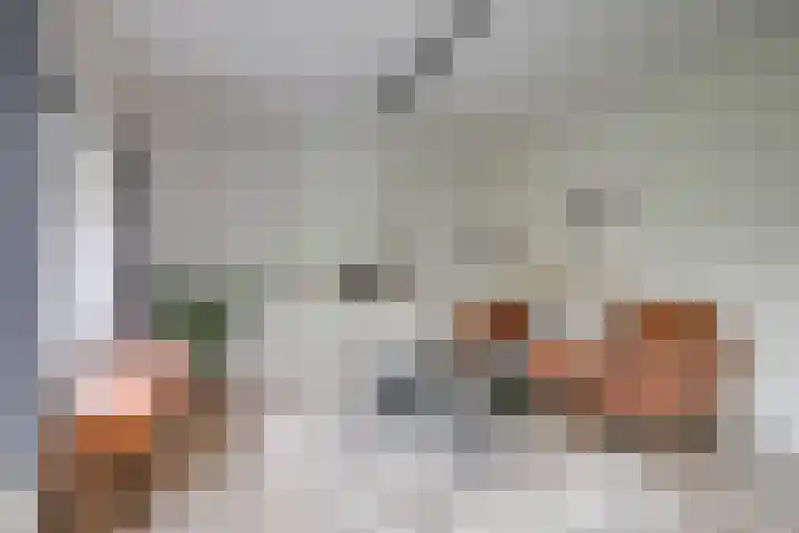 Homeruslaan 18 2 Utrecht thumbnail 8