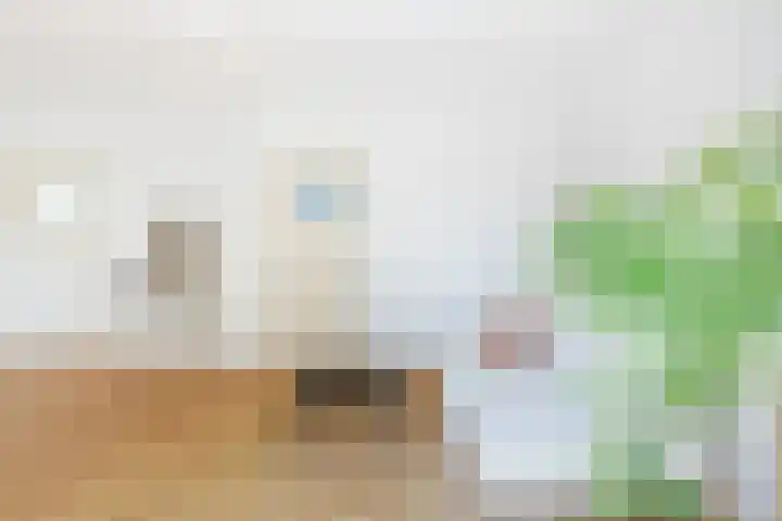 Homeruslaan 24 3 Utrecht thumbnail 10