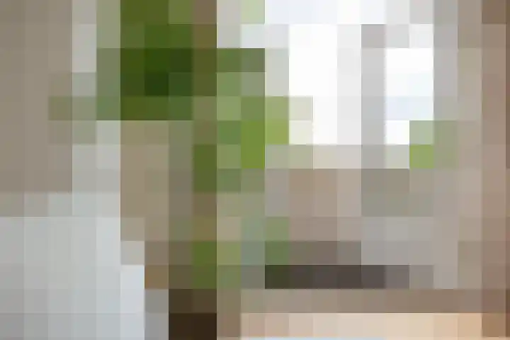 Homeruslaan 24 3 Utrecht thumbnail 13