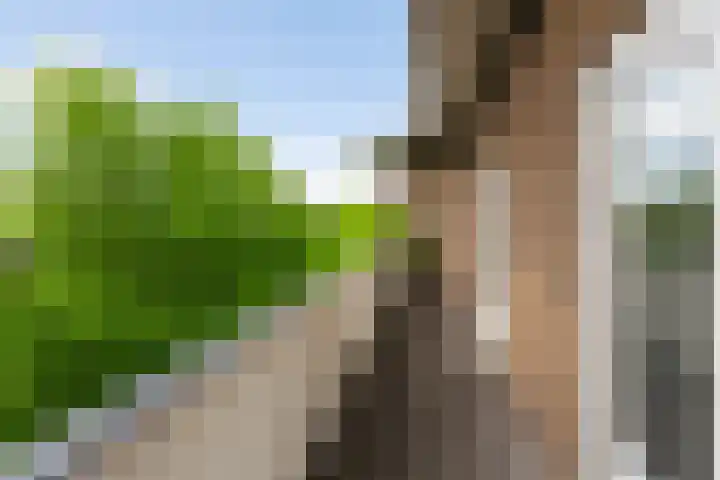 Homeruslaan 24 3 Utrecht thumbnail 14