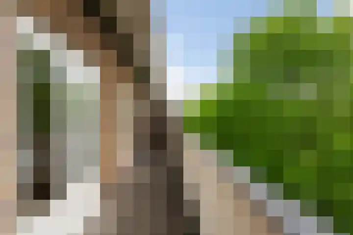 Homeruslaan 24 3 Utrecht thumbnail 15