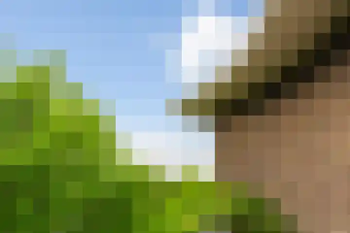 Homeruslaan 24 3 Utrecht thumbnail 16