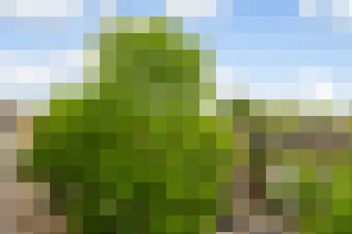 Homeruslaan 24 3 Utrecht thumbnail 17