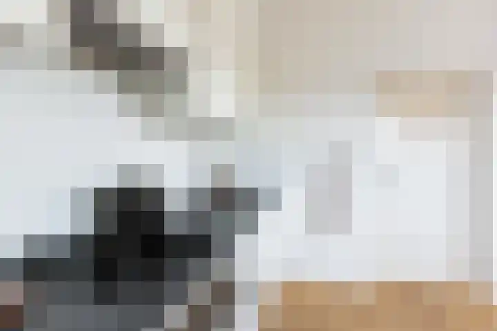 Homeruslaan 24 3 Utrecht thumbnail 20