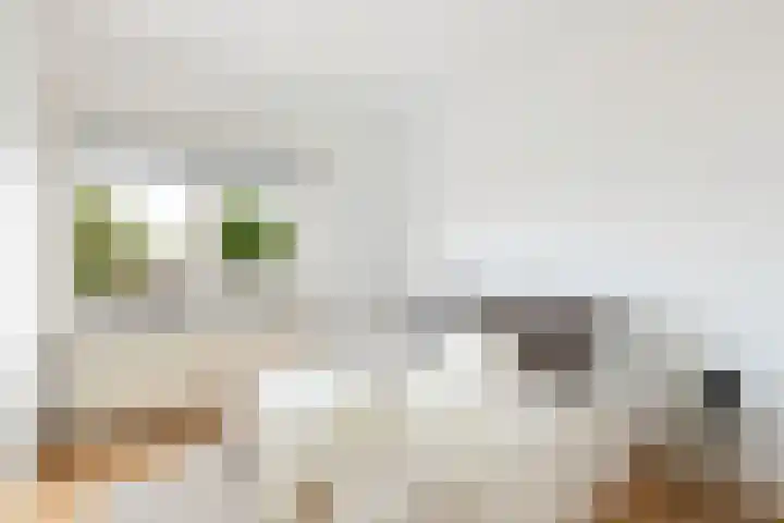 Homeruslaan 24 3 Utrecht thumbnail 22