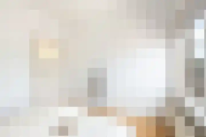 Homeruslaan 24 3 Utrecht thumbnail 24