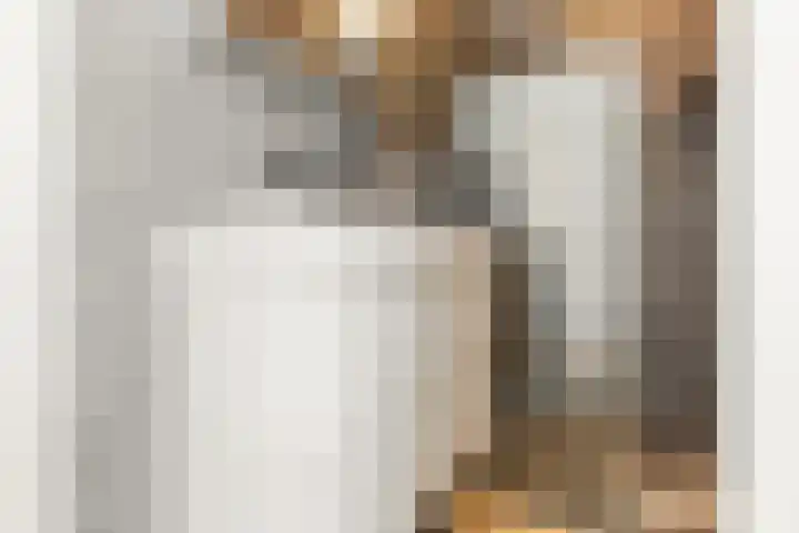 Homeruslaan 24 3 Utrecht thumbnail 27
