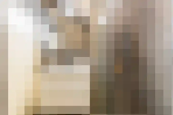 Homeruslaan 24 3 Utrecht thumbnail 28