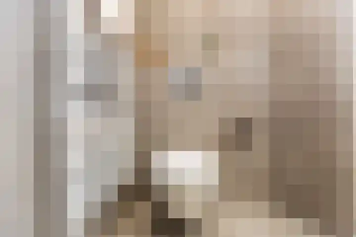 Homeruslaan 24 3 Utrecht thumbnail 30