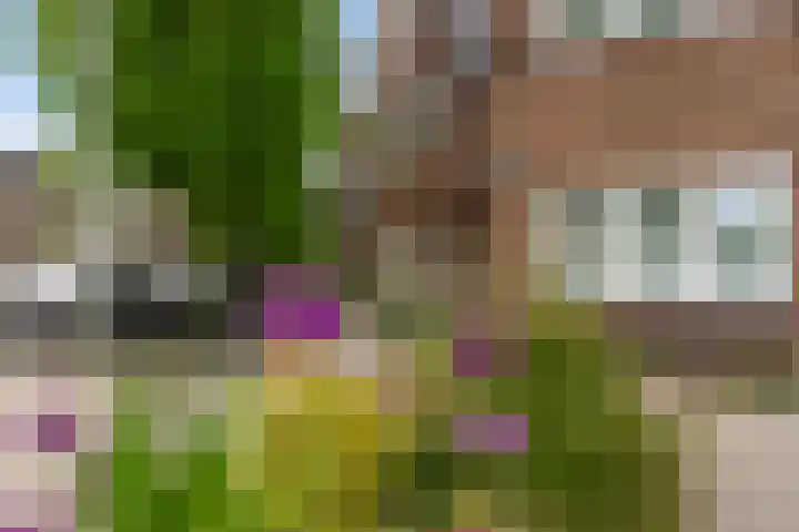 Homeruslaan 24 3 Utrecht thumbnail 31