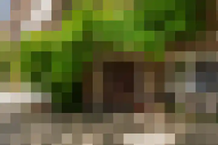 Homeruslaan 24 3 Utrecht thumbnail 32