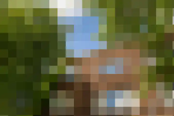 Homeruslaan 24 3 Utrecht thumbnail 33
