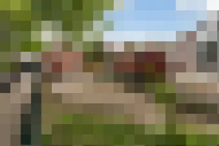 Homeruslaan 24 3 Utrecht thumbnail 36
