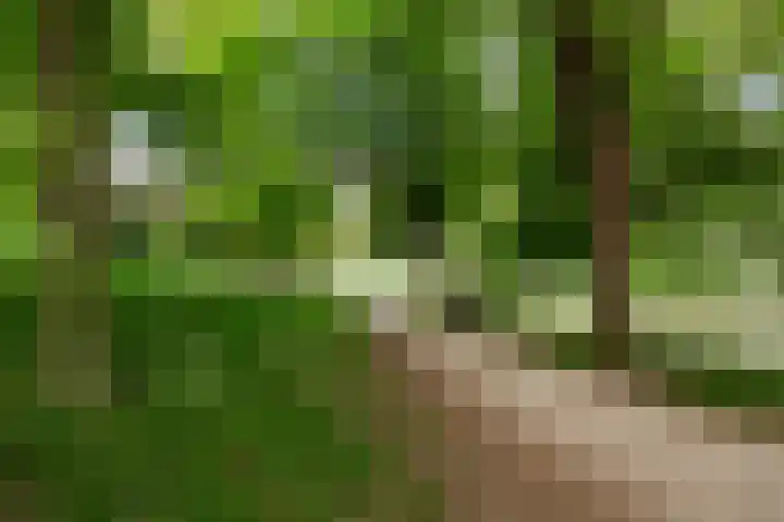 Homeruslaan 24 3 Utrecht thumbnail 37