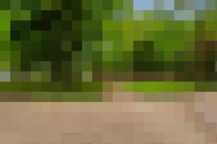 Homeruslaan 24 3 Utrecht thumbnail 38