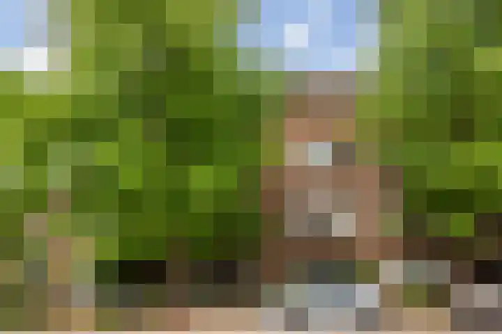 Homeruslaan 24 3 Utrecht thumbnail 4