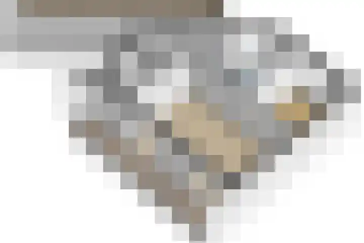Homeruslaan 24 3 Utrecht thumbnail 42