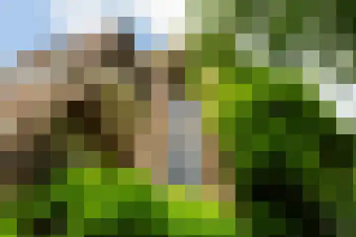 Homeruslaan 24 3 Utrecht thumbnail 43