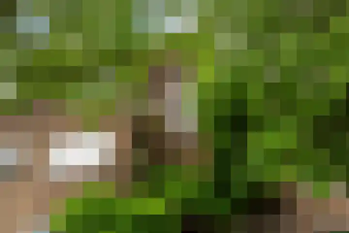 Homeruslaan 24 3 Utrecht thumbnail 5