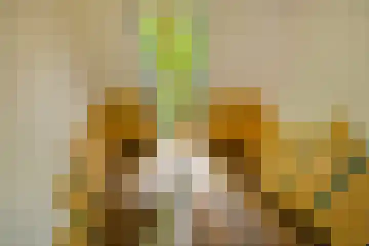 Homeruslaan 24 3 Utrecht thumbnail 6