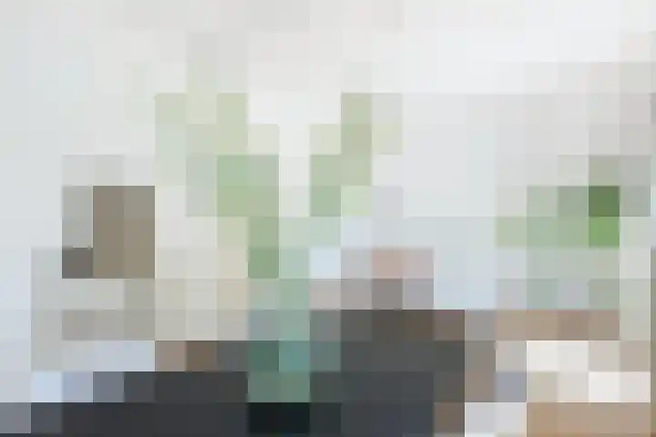 Homeruslaan 24 3 Utrecht thumbnail 8