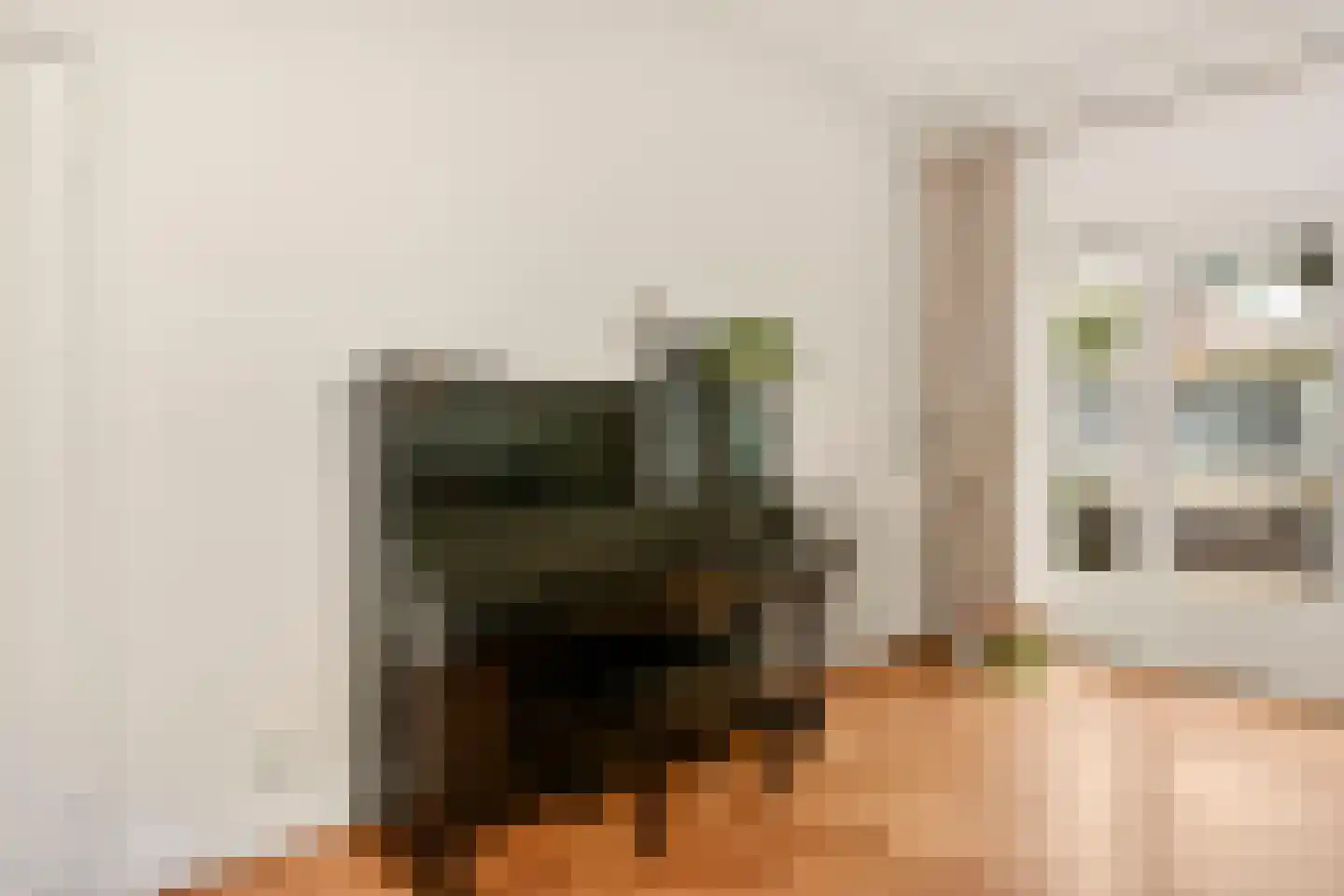 Homeruslaan 24 Utrecht thumbnail 17