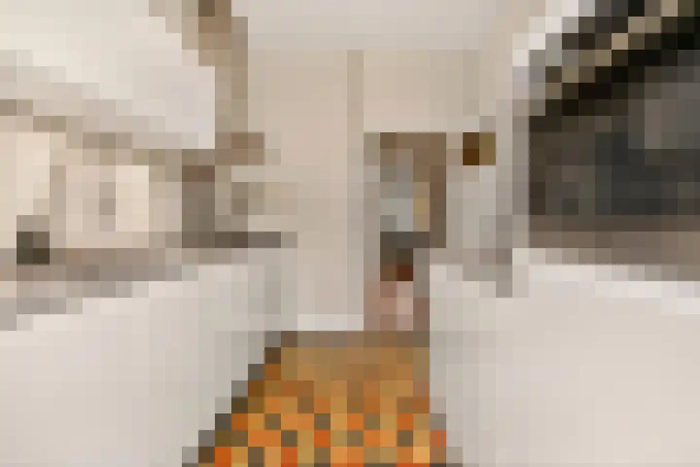 Homeruslaan 24 Utrecht thumbnail 20