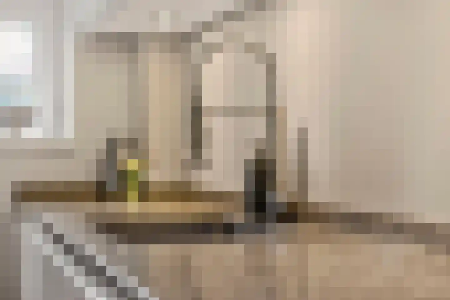 Homeruslaan 24 Utrecht thumbnail 21