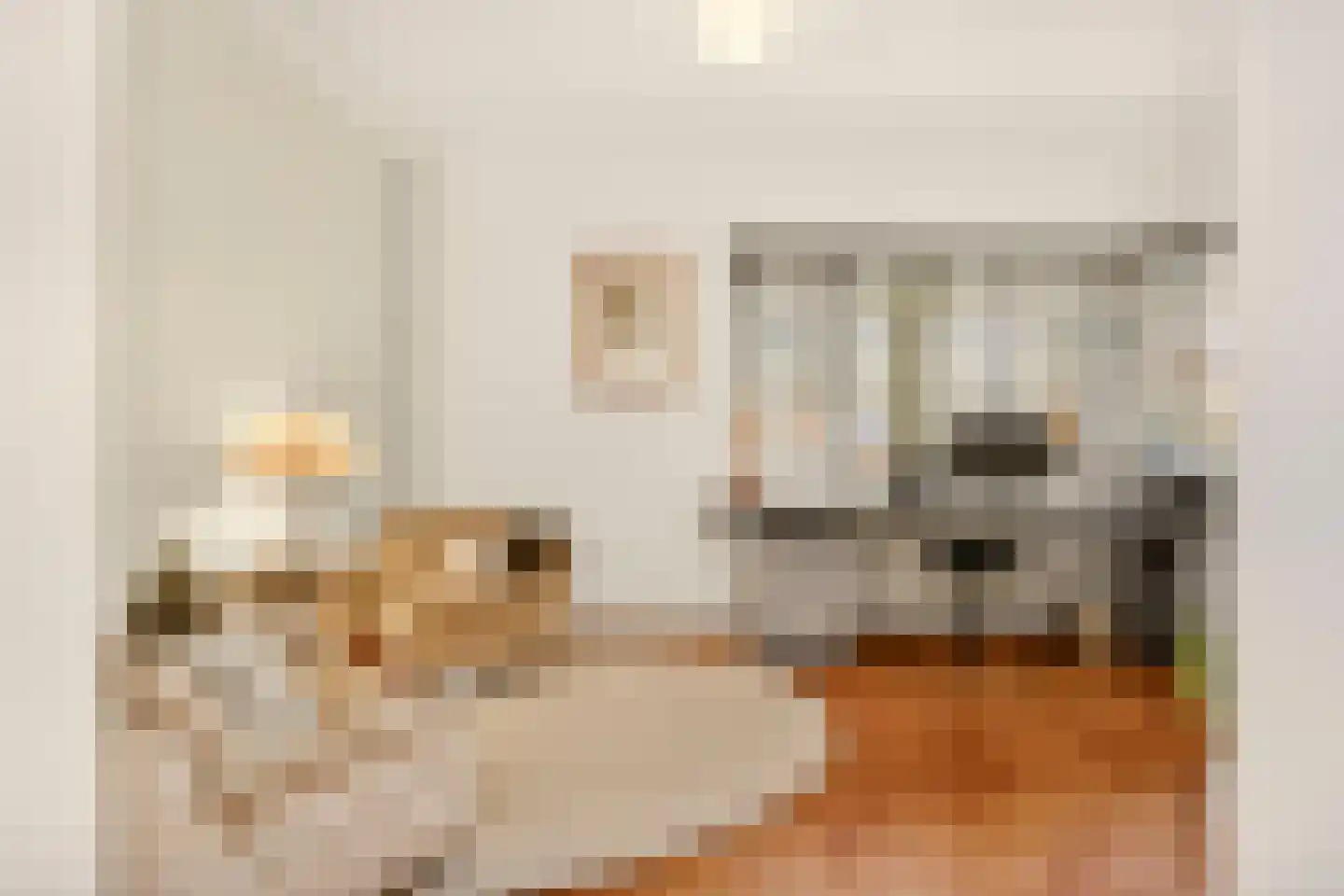 Homeruslaan 24 Utrecht thumbnail 23