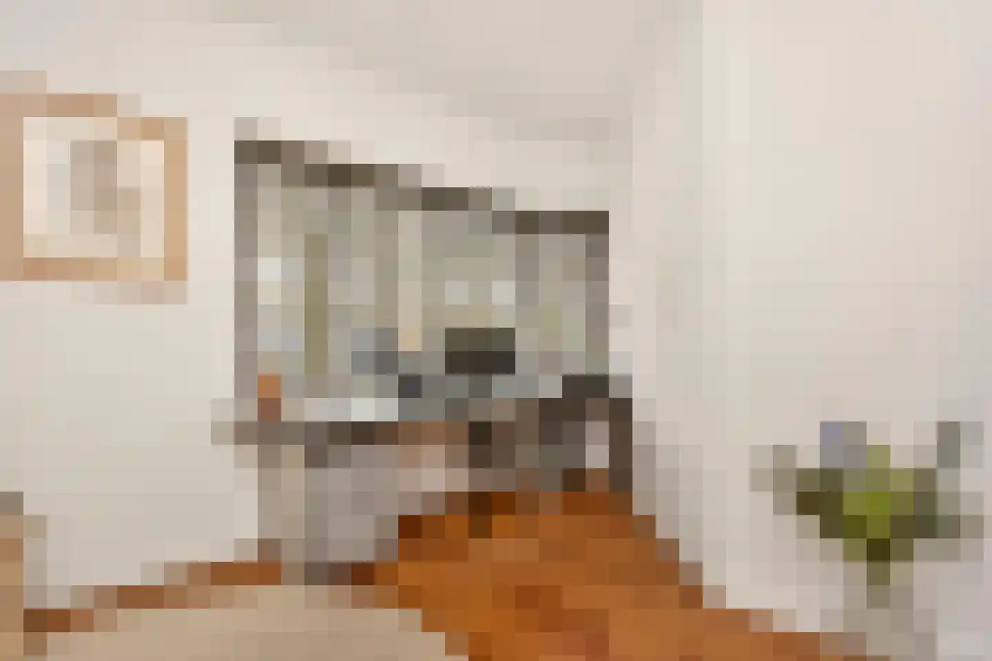 Homeruslaan 24 Utrecht thumbnail 25