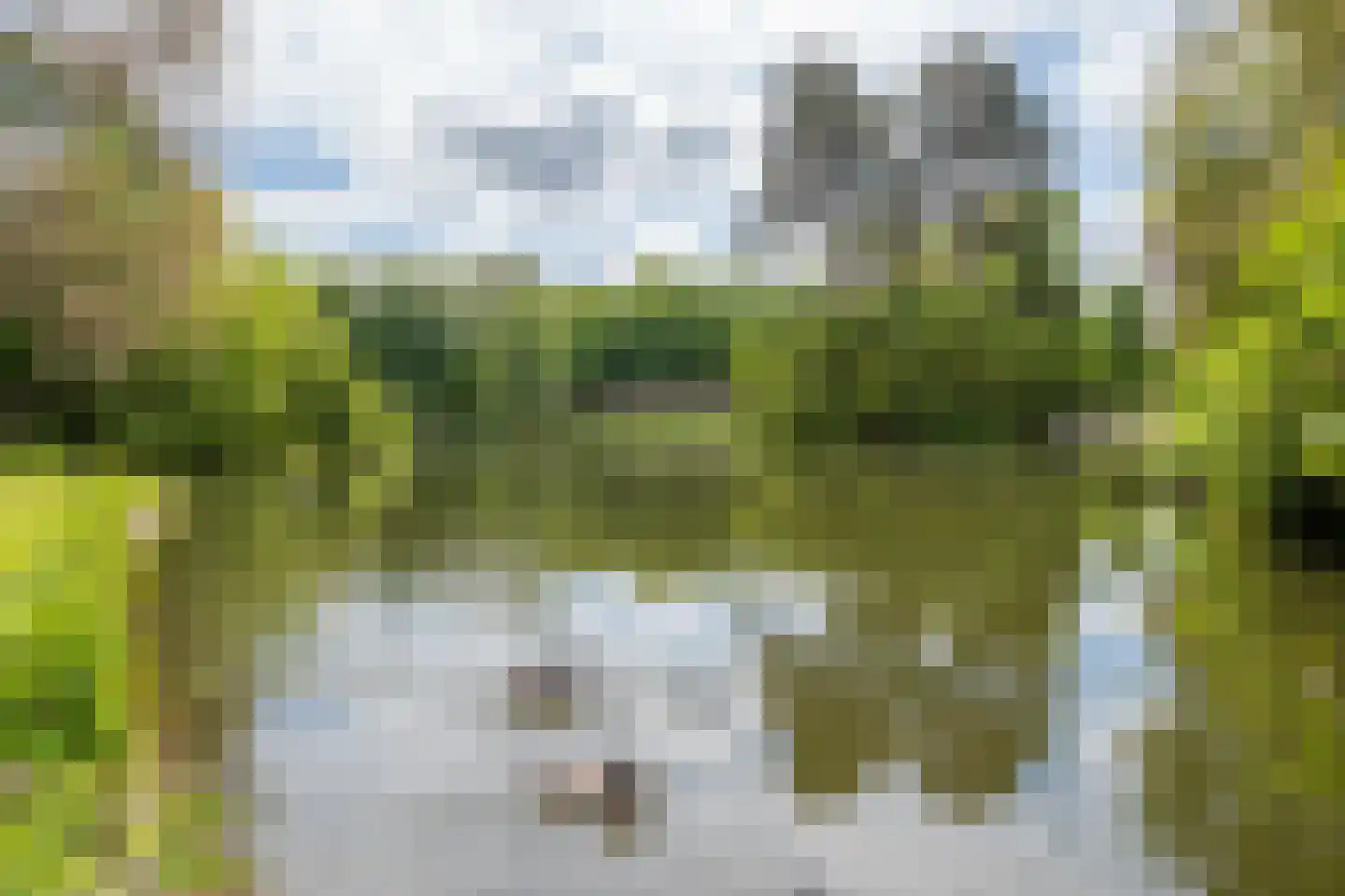 Homeruslaan 24 Utrecht thumbnail 43