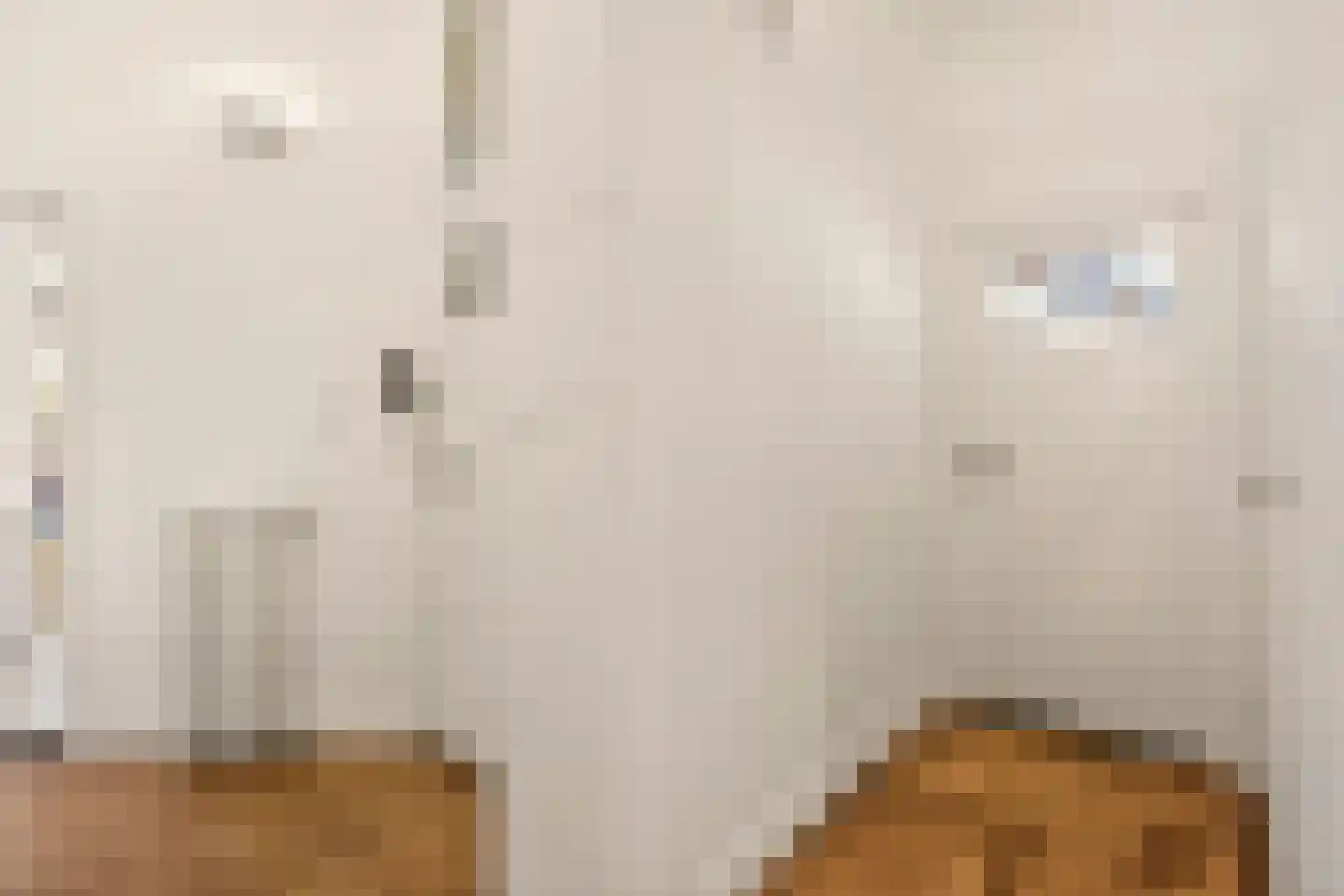 Homeruslaan 24 Utrecht thumbnail 6