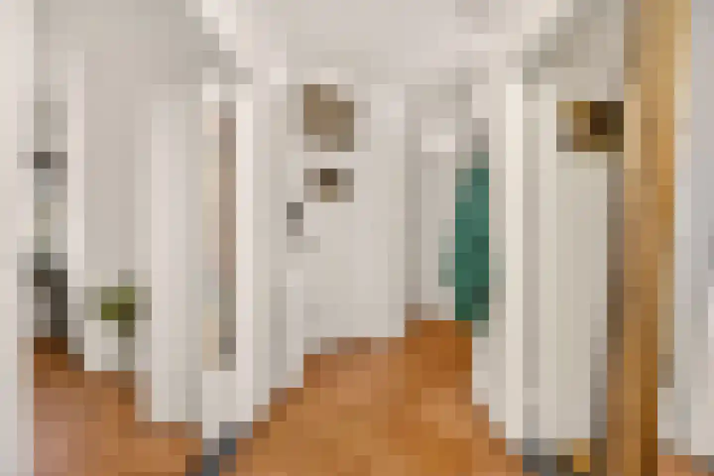 Homeruslaan 24 Utrecht thumbnail 7