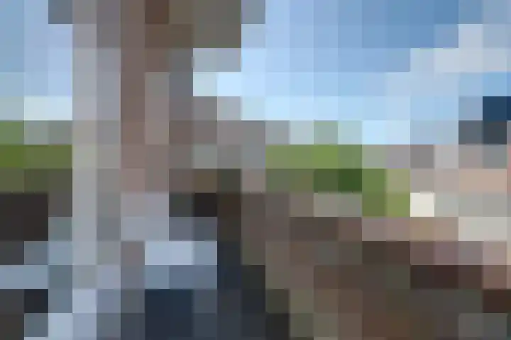 Homeruslaan 26 1 Utrecht thumbnail 13