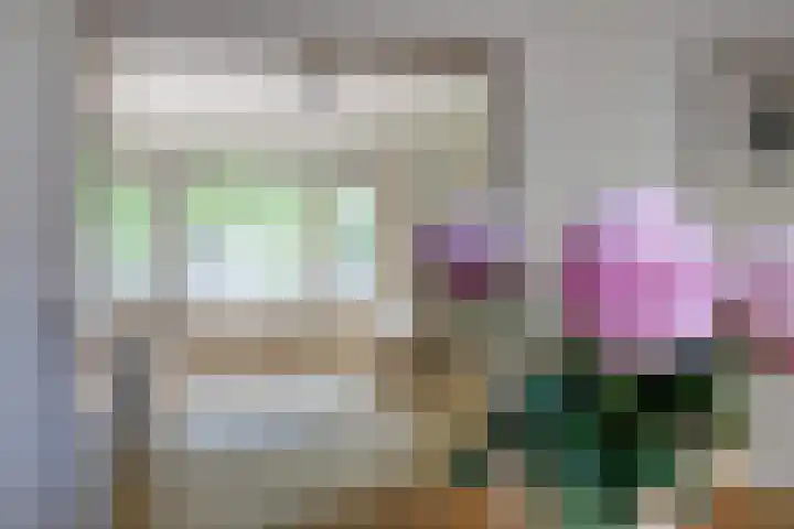 Homeruslaan 26 1 Utrecht thumbnail 14